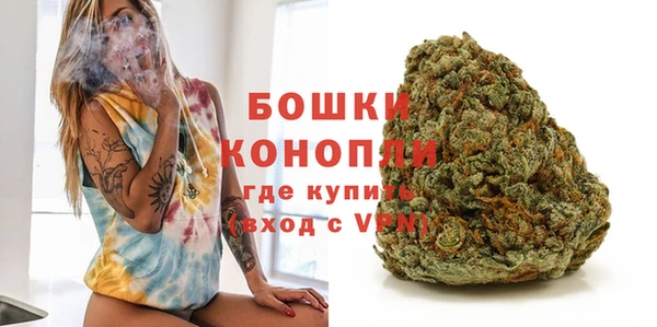 бошки Ладушкин